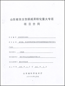 2009年承擔(dān)山東省自主創(chuàng)新成果轉(zhuǎn)化重大專項項目